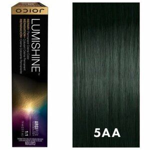 Ash Ash Light Brown 5AA - Joico Lumishine Repair + Permanent Creme Color